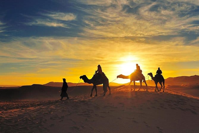 2 Days Tour Ouarzazate to Merzouga Camel caravan at sunset in Erg Chebbi dunes during 2 Day Desert Tour from Ouarzazate to Merzouga